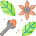 kailash parvat ayurvedic icon